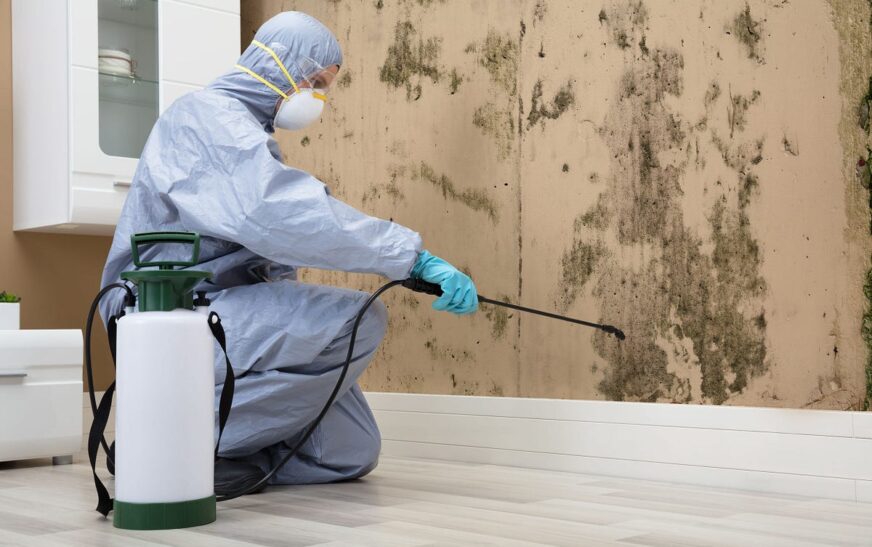 10 Common Mold Remediation Mistakes To Avoid