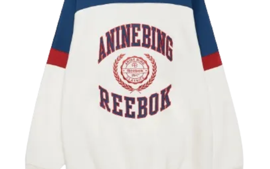 Anine Bing Sweatshirt: Style, Comfort, and Quality in Every Stitch