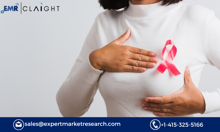 Global Breast Cancer Therapeutics Market Size, Share, Trends, Growth, Analysis, Report and Forecast 2024-2032