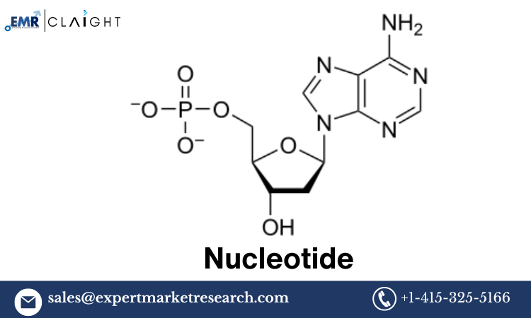 The Ultimate Guide to Navigating Nucleotide Price Forecast