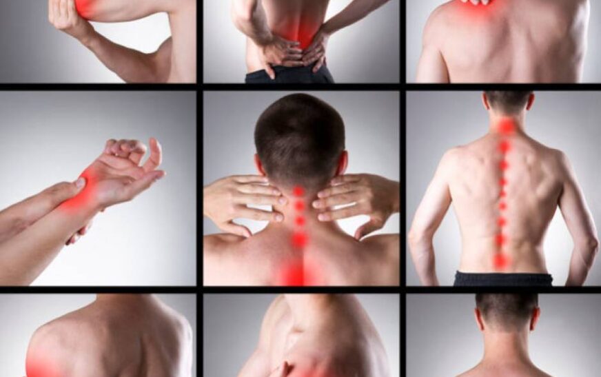 Effective Solutions for Back Pain and Muscle Pain Relief