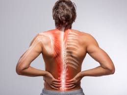 The Role of Massage Therapy in Muscle Pain Management