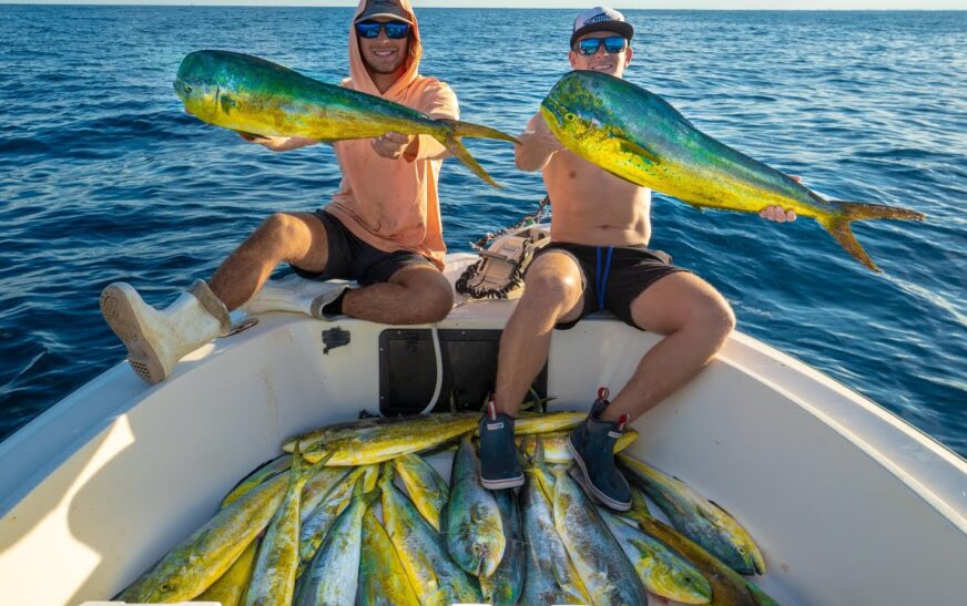 Deep-Sea Catches Off Long Island’s Coast