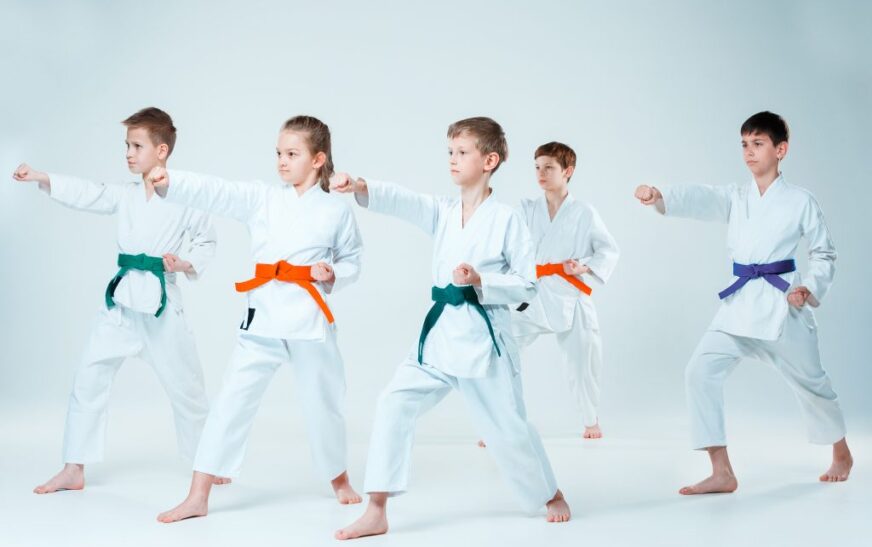 How to Choose the Best Martial Arts School in Waterloo for Your Skill Level