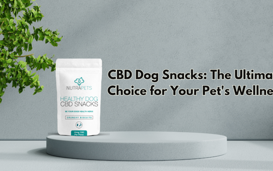 CBD Dog Snacks