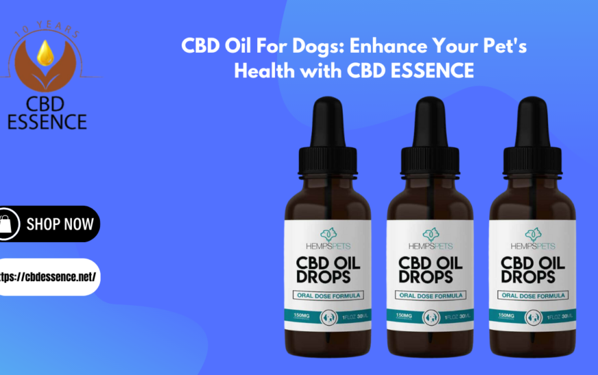 CBD Oil For Dogs