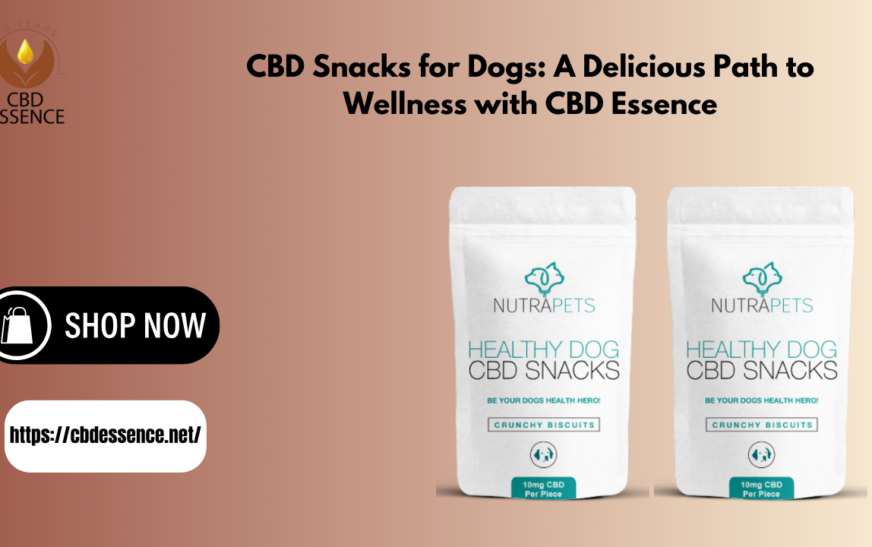 CBD Snacks for Dogs: A Delicious Path to Wellness with CBD Essence