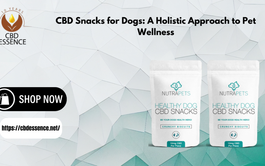 CBD Snacks for Dogs: A Holistic Approach to Pet Wellness