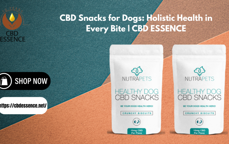 CBD Snacks for Dogs: Holistic Health in Every Bite | CBD ESSENCE