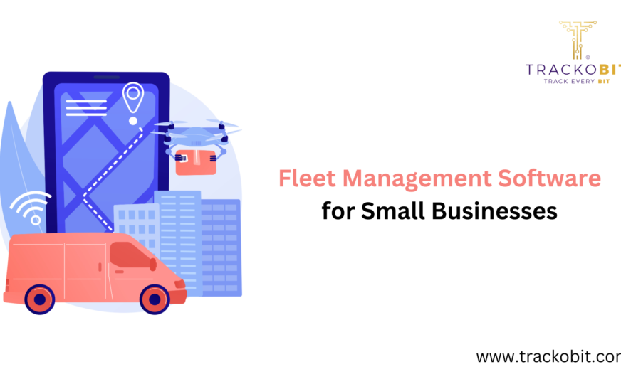 Fleet Management Software for Small Businesses