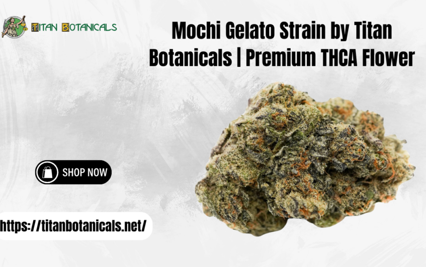 Mochi Gelato strain