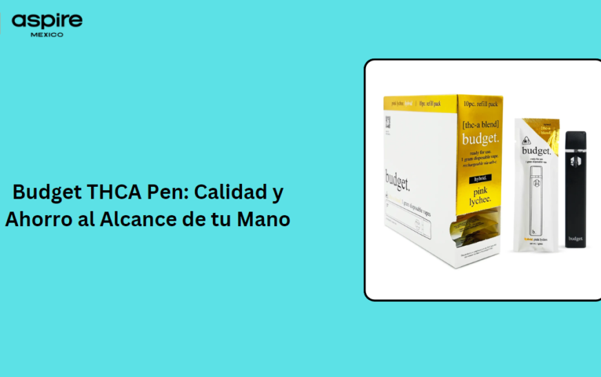 Budget THCA Pen: Calidad y Ahorro al Alcance de tu Mano