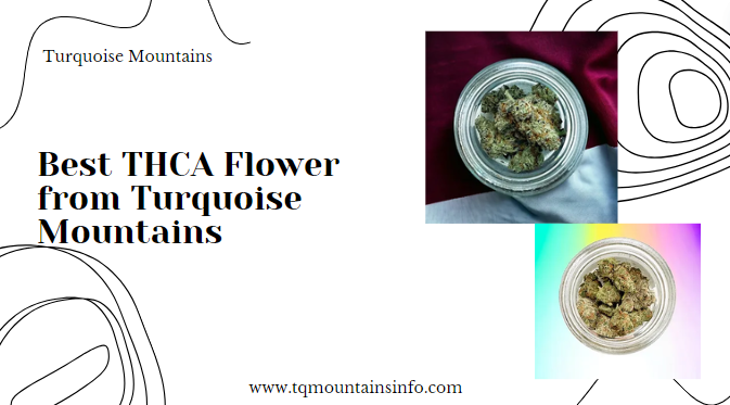 Best THCA Flower from Turquoise Mountains