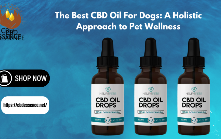 Best CBD Oil For Dogs