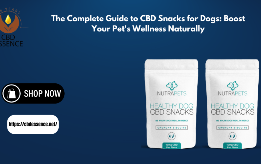 The Complete Guide to CBD Snacks for Dogs: Boost Your Pet’s Wellness Naturally