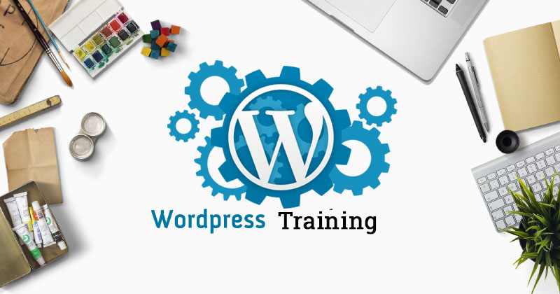 Top Free and Paid WordPress Training Options to Elevate Your Skills