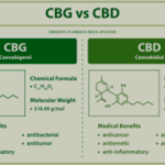 CBG vs CBD