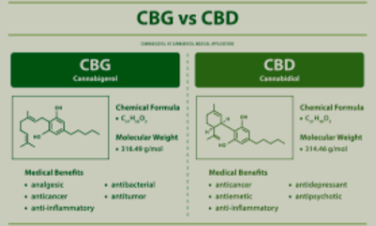 CBG vs CBD