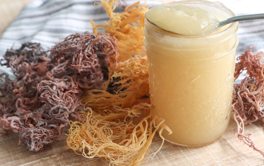 How Harvesting Sea Moss Affects the Environment